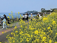 2026 아름다운 대한민국,..
