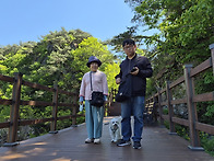 제천 탁사정 - 2..
