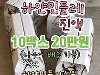 민들레즙 추석선물 할인행..