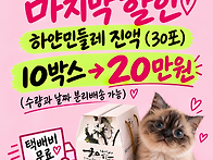 민들레즙 최저가 마지막 ..