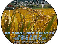 20년 햅쌀 판매합..