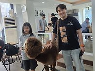 요뇸뇸