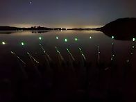 산도 가야하고 들에도 나가야하고 강에도 ..