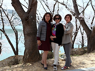 봄 나들이(2022-04-06..