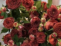 초콜릿 버블-Chocholet..