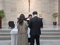 관면혼배(26.3.15)