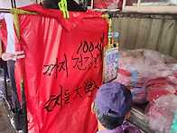 11월 15일 스펀에서 천등..
