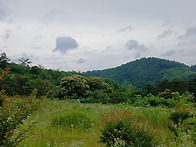 산소성도 벌초(25-6-20..