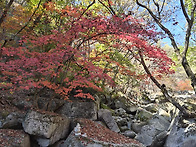 운악산 출렁다리 ..