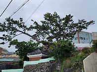 울산 장자항~주전해변 태화강국가정원 태화..