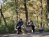 2025년 11월02일 투어 뒷..