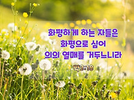 성경말씀 이미지