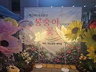 8월 29일 대소면 봉숭아꽃..