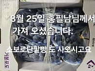 8월25일 화요일 연습겸 야..