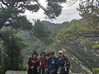 남산(&#21335;&#23665;),경주