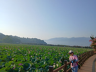 청도 유등지 ( 8..
