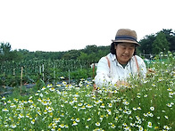 주말농장