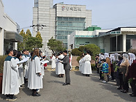 성지 주일 성지 ..