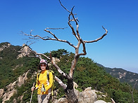 관악산 캐이블카 ..