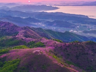 보성일림산 사자산 제약산