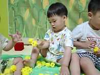 스칸디오감-옥수수🌽