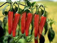 농사를 다시 배워야만 한다..