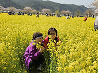 2024,04,13. 삼척맹방 유채꽃+덕봉산