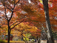 금산사