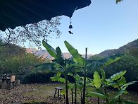 의신마을 연암난야