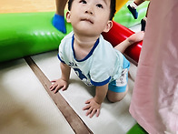 월드컵 응원&6월4주 체육