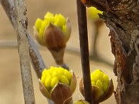 2026년3월12일(목) 목정..