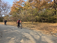 11월20일 목정라(번짱:유..