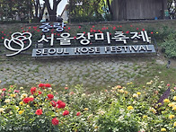26년6월17일(일)일정라 중..