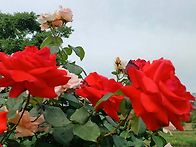 26년5월19일.화요 라이딩...