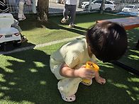 (10/8)가을나무만..