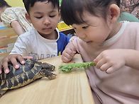 (7/15)오감&마이..