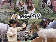 (3/18) 마이쥬 체..