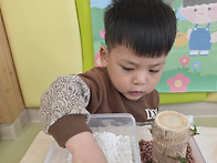 ( 4/3)행운목을 ..