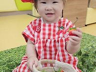 빨강! 빨강! 딸기..