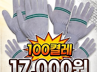 줄기사장갑이 170원!! 최..
