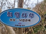 진도 접도 남망산..