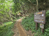 고흥 쑥섬