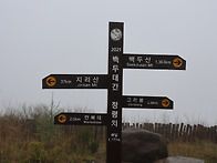 비바람과 함께한 ..