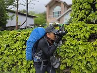 바래봉철쭉산행이..