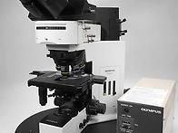 올림푸스 형광현미경 BX5..