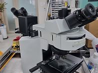 올림푸스 금속현미경 BX5..