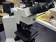 올림푸스 금속현미경 BX5..