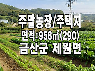 금산토지 금강 인근 마을 ..