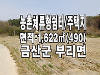 금산토지 금산부동산 2차선..