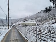 2월 눈풍경